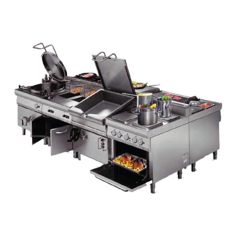 Isla de cocción profesional 5