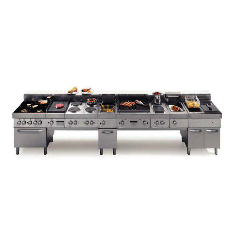 Isla de cocción profesional 6